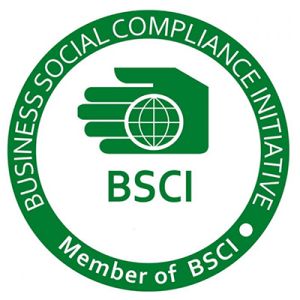 BSCI(PDF BSCI AuditReport 2017)